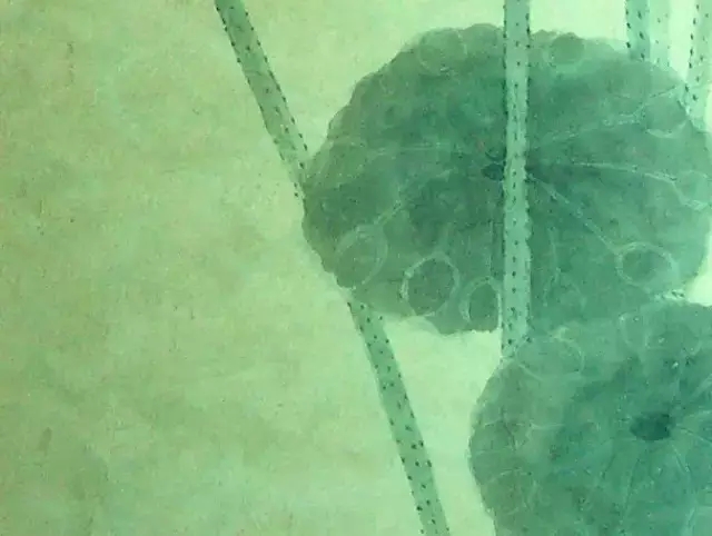 谢稚柳荷画别具特色