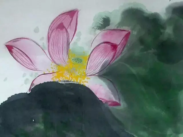 谢稚柳荷画别具特色